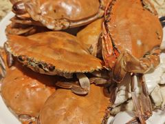 -禾斗海鲜自助(市南银座店)