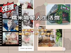-糯米喵星人总部直营旗舰店·猫舍·幼猫出售