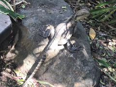 -可伦宾野生动物保护区
