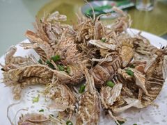 -梅子大排档