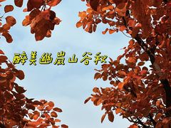 -周口店坡峰岭风景区
