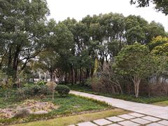-新江湾城公园