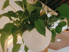-渝信川菜(南滨店)