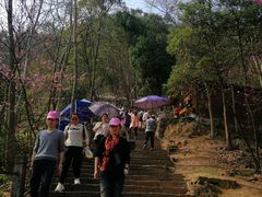 -天台山赤城山景区