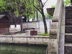 -鲁镇