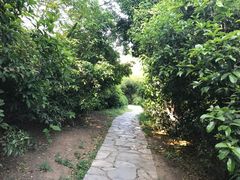 -云龙山