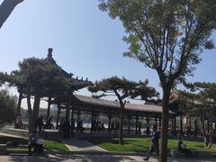-迎泽公园