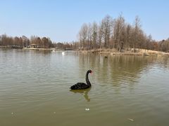 -宁波杭州湾国家湿地公园