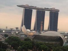 -新加坡瑞士史丹福酒店