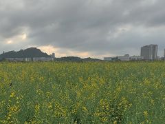 -光明小镇欢乐田园