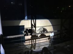 -清迈夜间动物园
