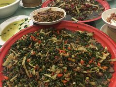 -东吴霸王兔(松青路店)