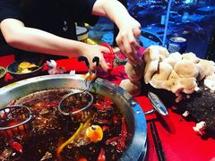 -谭鸭血老火锅(漳州路店)