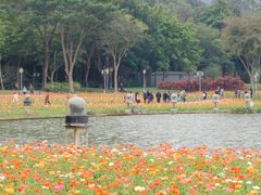 -顺峰山公园