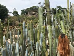 -漳州滨海火山岛自然生态风景区
