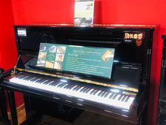 -柏斯琴行(汾阳店)