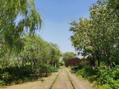 -永定河休闲森林公园