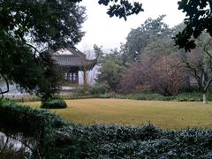 -西湖外事游船(花港观鱼码头)