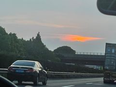-荷兰花海