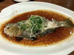 -頂好酒家·经典粤菜(海信广场店)
