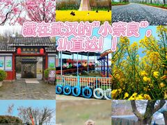 -武汉紫薇都市田园