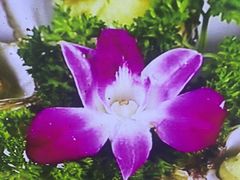 -小螺号海鲜·地道鲁菜(省体总店)