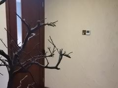 -沐·SPA悠享影院足道(海岸城店)