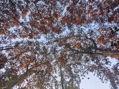 -T80科技文化国际社区-停车场