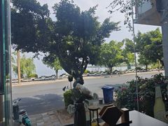 -野菌皇海景野生菌火锅(滨海大道店)