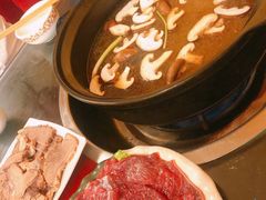 -乳仔牛牦牛汤锅 烤羊排(松潘古城店)