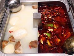 辣旋风三鲜双拼锅底-海底捞火锅(公益西桥店)