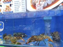 -船梆煮•蒸汽海鲜·生腌干蒸(五四广场店)