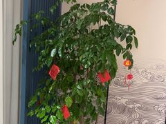 -写庭·鱼鲜川菜·宴请(铁像寺水街店)
