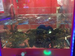 -大玩家(拱墅万达店)