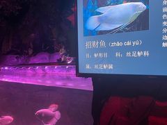 -蓬莱欧乐堡海洋极地世界