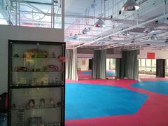 -陈中跆拳道(中关村馆)