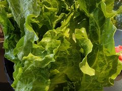 -打酱友•斑鱼海鲜粥火锅(吴桥店)