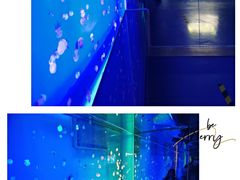 -上海海昌海洋公园