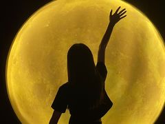 -深圳独角兽星空艺术馆