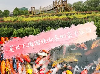 夏日上海遛娃必来的亲子农场
