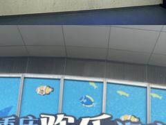-重庆欢乐海底世界