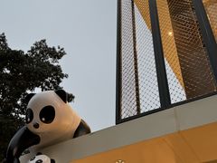 -嫩芽 ·地道重庆菜(十八梯露台夜景店)