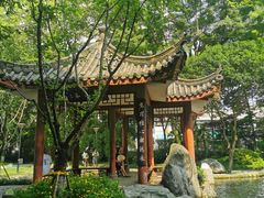 -温江公园