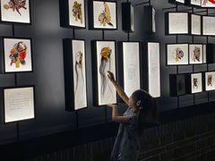 -四川大学博物馆