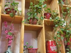 -小草大排档(北沙坡店)