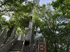 -帽儿山国家森林公园