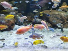 -湘轩·土菜研究院(光大店)