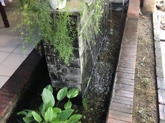 绿植-Lanterns Vietnamese Restaurant