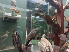 -国家自然博物馆