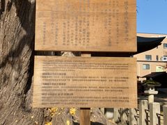 -医王山·飞騨国分寺